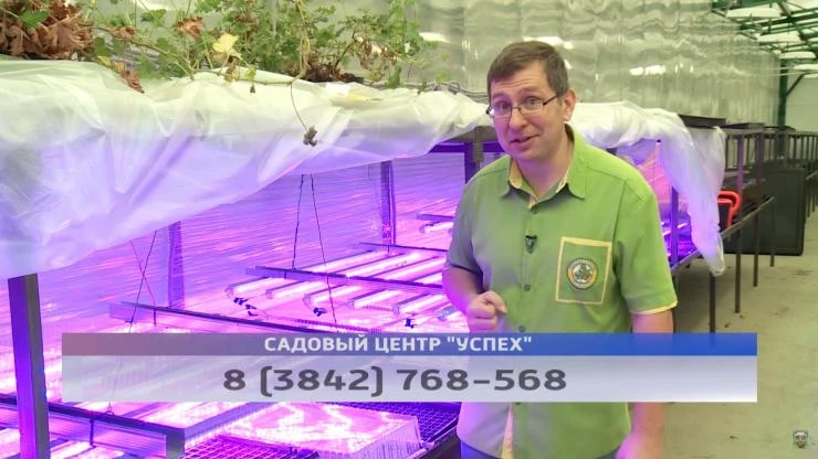 Кемерово Магазин Успех Семена
