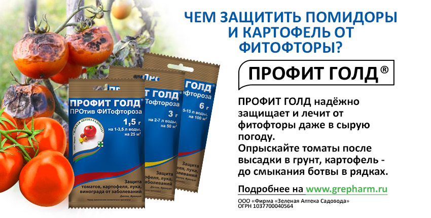 Месячная таблица. Благоприятные и неблагоприятные лунные дни для посева, посадки, пересадки, подкормки и полива цветов в 2022-2023 годах по лунному календарю цветовода