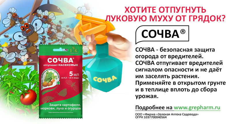 Можно ли поливать весной