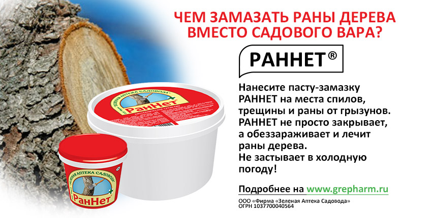 Благоприятные дни для высадки рассады в марте