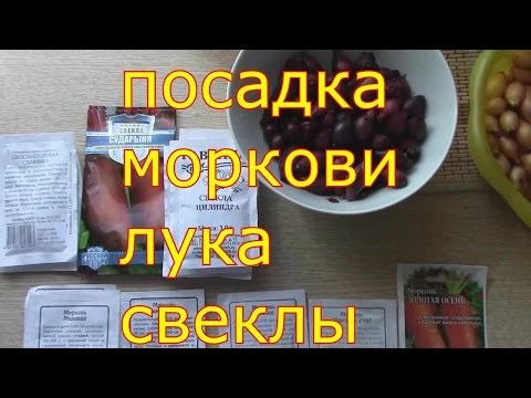 посадка моркови лука свеклы удобной сажалкой