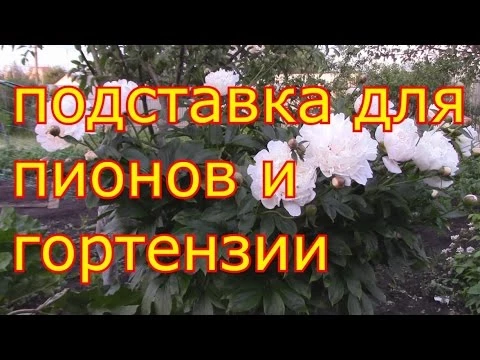 подставка для пионов и гортензии