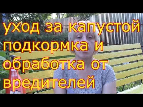 уход за капустой