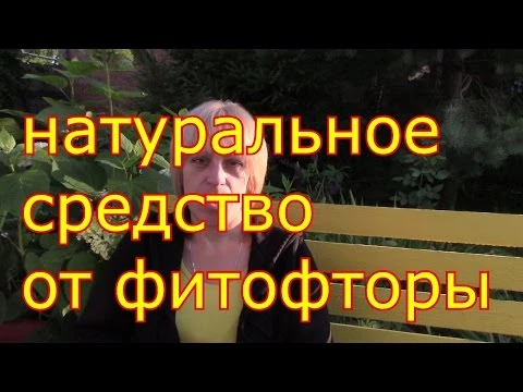 средство от фитофторы