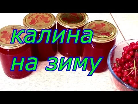 КАЛИНА НА ЗИМУ