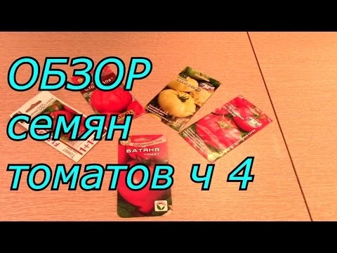 ОБЗОР семян томатов ч 4