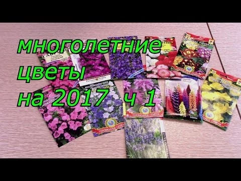 многолетние цветы  на 2017