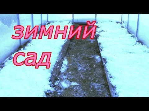 зимний сад