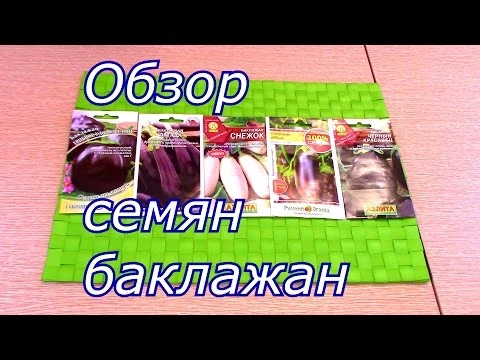 обзор семян баклажан