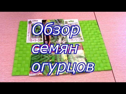 Обзор  семян огурцов