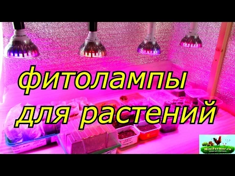 ФИТОЛАМПЫ для растений