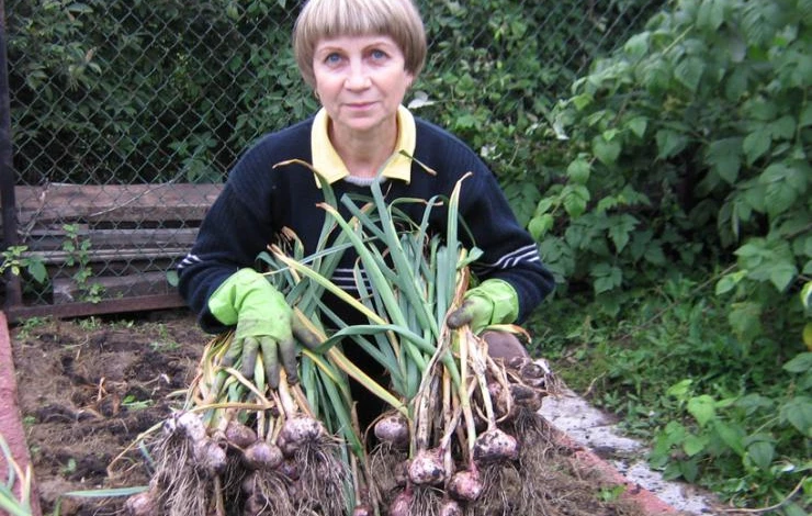 Галина Силкина