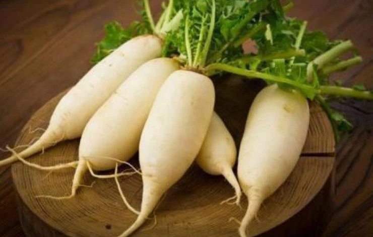 photo_daikon.jpg