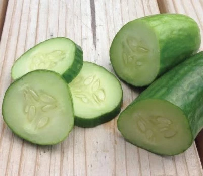 Muncher-Cucumber-Cut.jpg