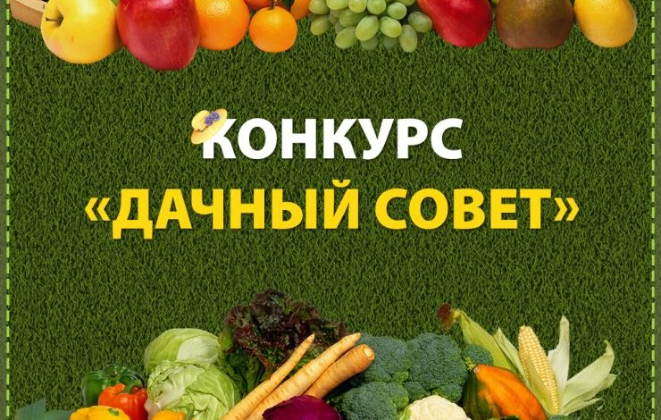 конкурс дачные советы