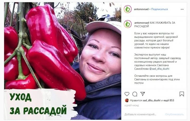 прямой эфир как ухаживать за рассадой