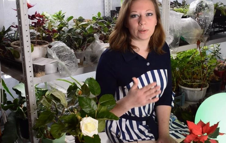 лунный посевной календарь апрель 2020