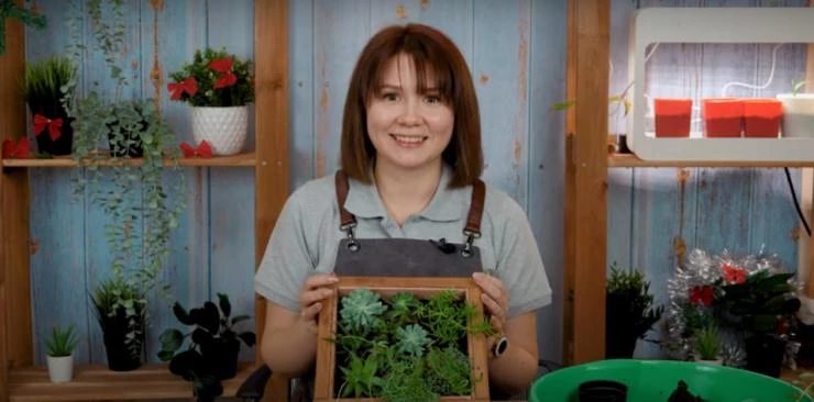 Панно из суккулентов