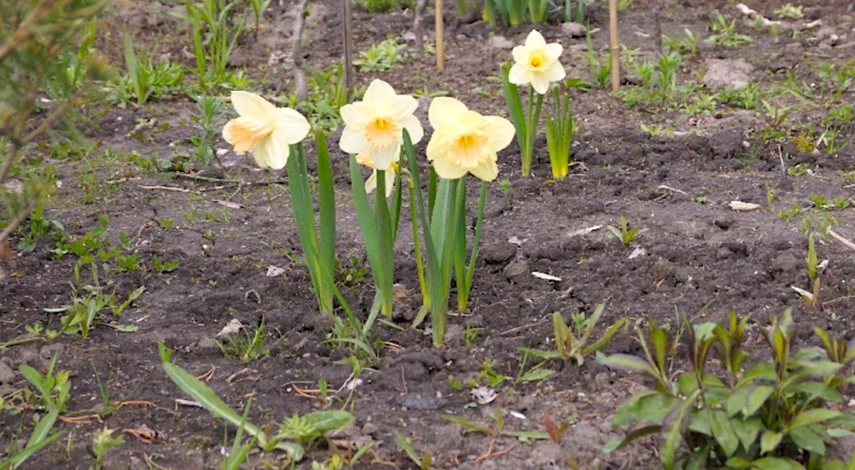 лунный календарь на неделю