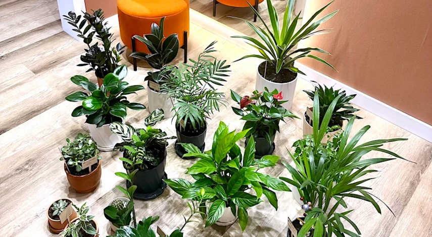 лунный календарь на неделю