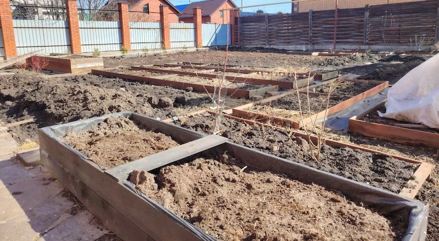 севооборот в теплице