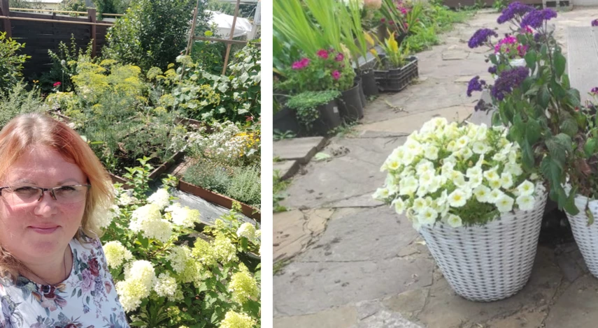 соседство культур в саду