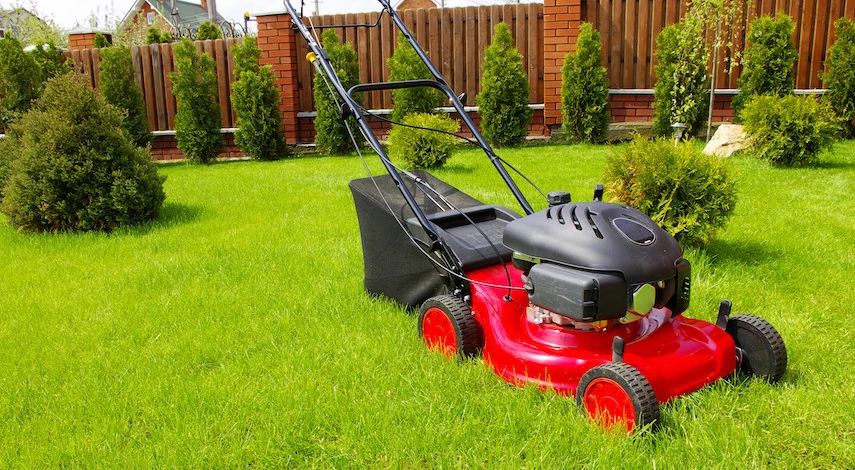 выбор газонокосилки