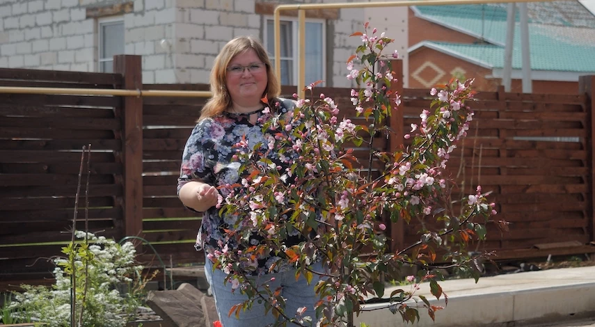 как спасти растения от заморозков