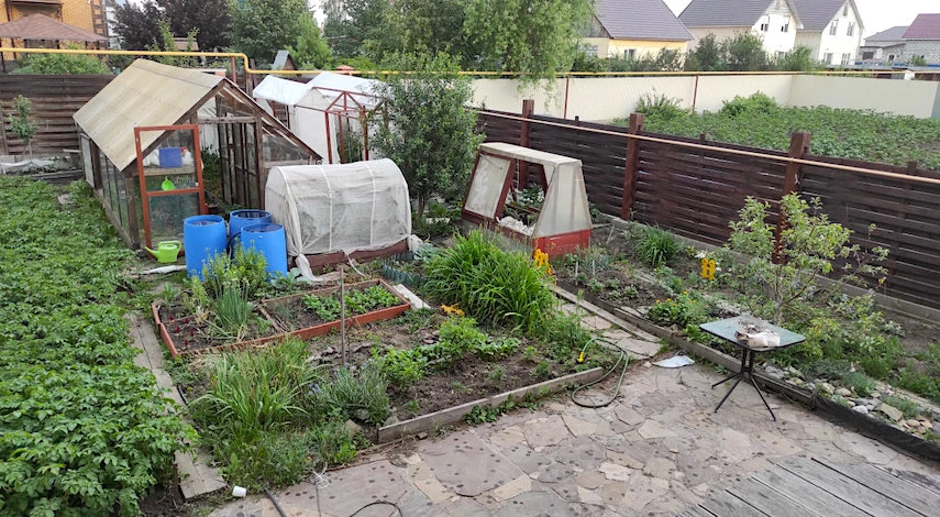 самодельный парник