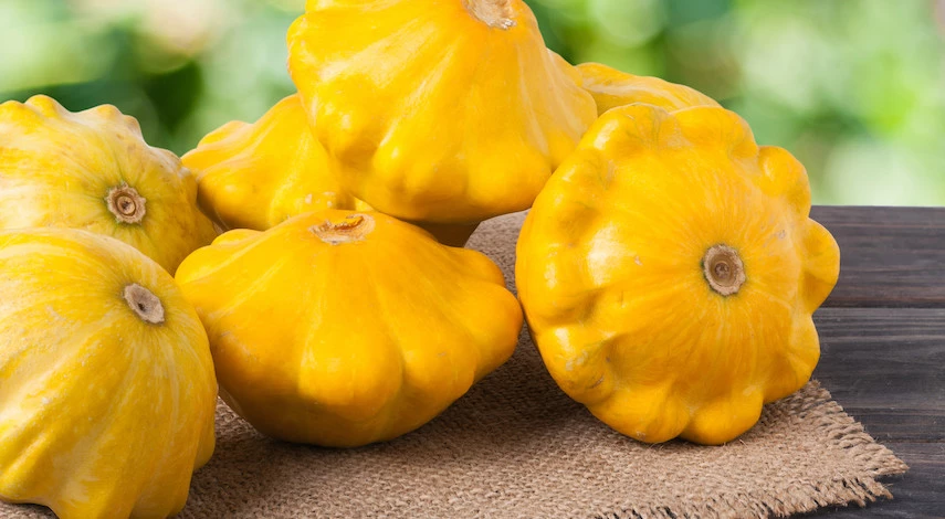 хранение патиссонов