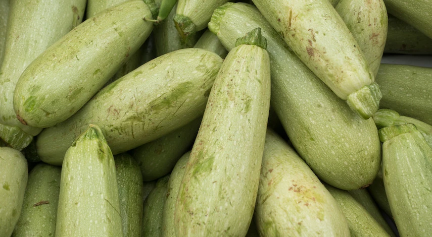 сбор кабачков