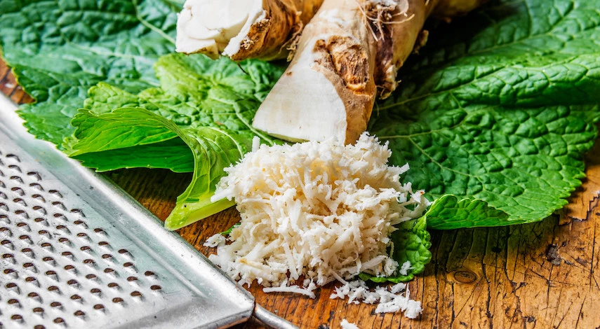 заготовка корней хрена