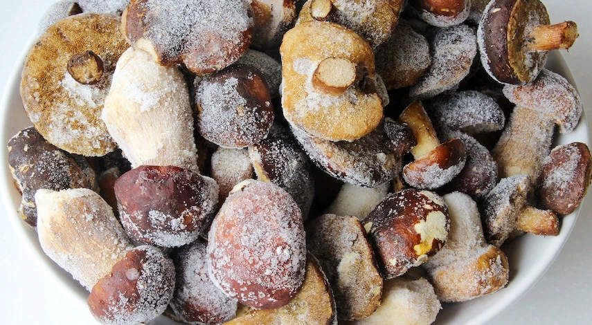 заморозка грибов на зиму