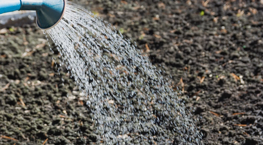 Биопрепараты для осенней обработки почвы