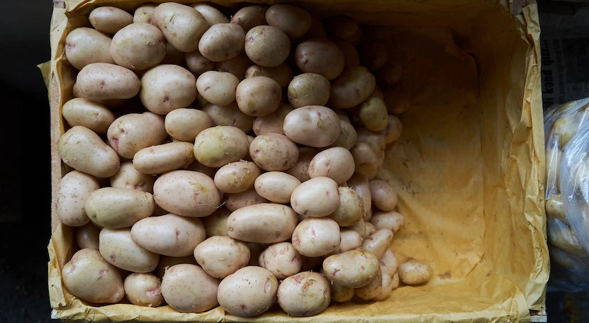 хранение картофеля на балконе зимой