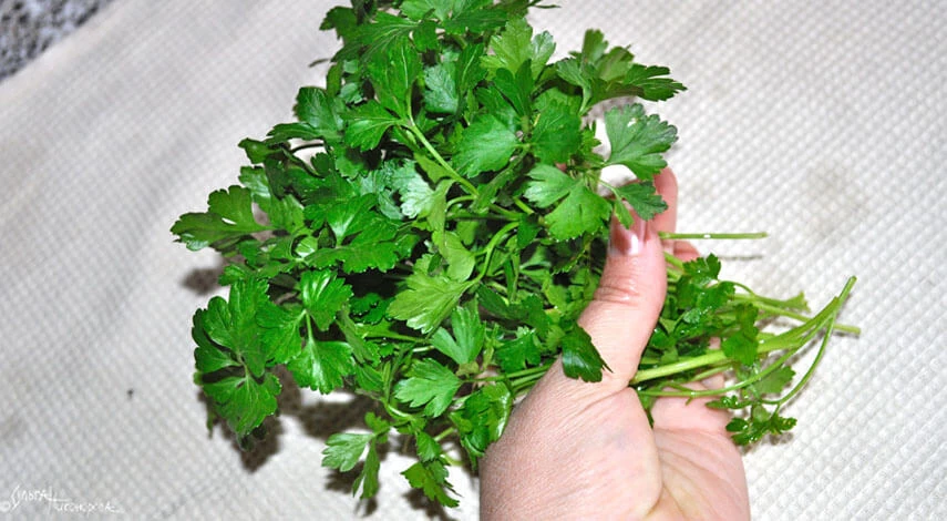 Какую зелень лучше сушить