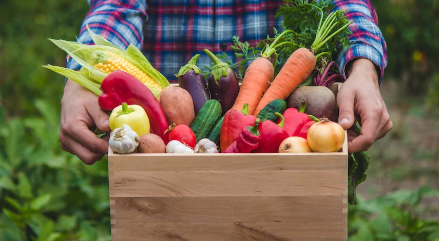 Зимнее хранение овощей на балконе