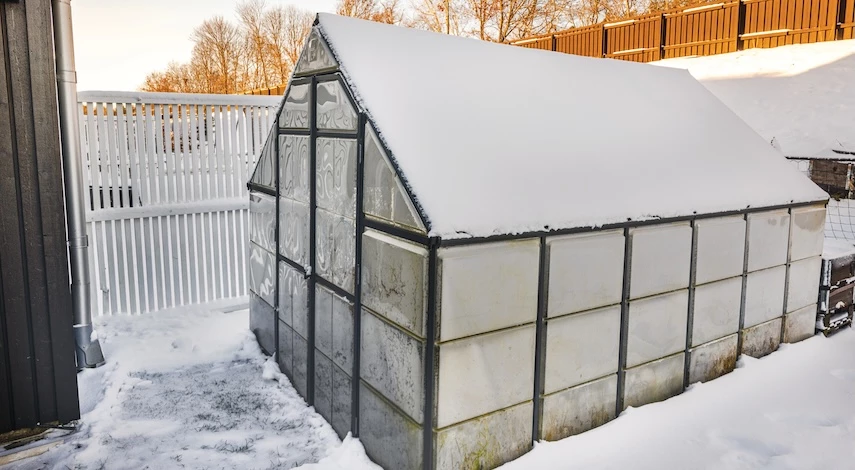 Почему зимний уход продлевает жизнь теплице