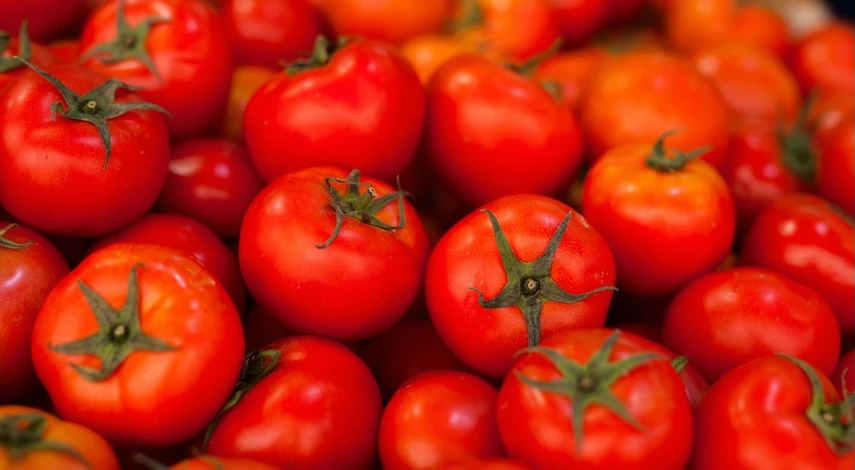 новые сорта томатов 2026