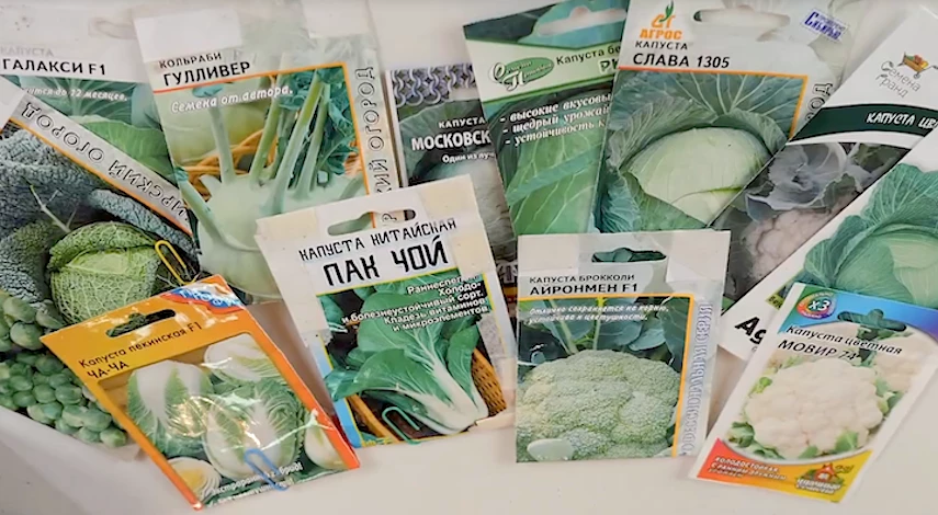 подготовка семян зимой