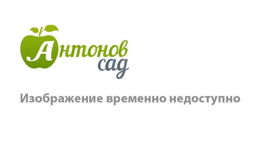 Как правильно выбирать пиломатериал