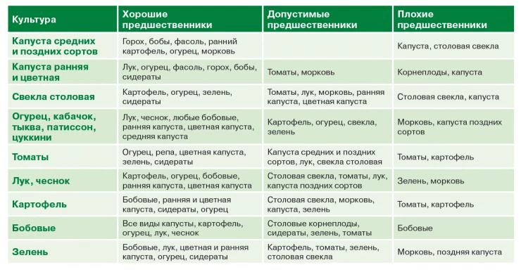 Овощные севообороты с томатом