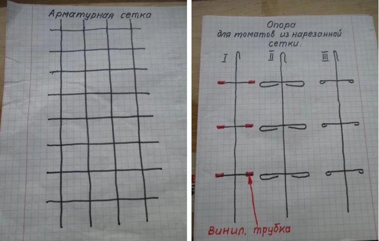 Свободный узел для подвязки томатов схема