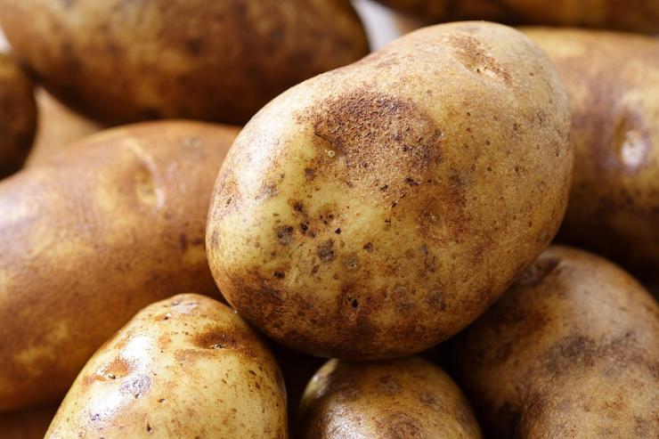 вкусный картофель выращивание