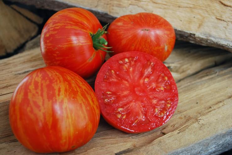 Томат Мясистый сахаристый: описание сорта помидоров, характеристики. Выращивание, болезни и вредители. Отзывы