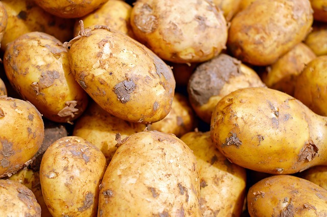 вкусный картофель удобрения