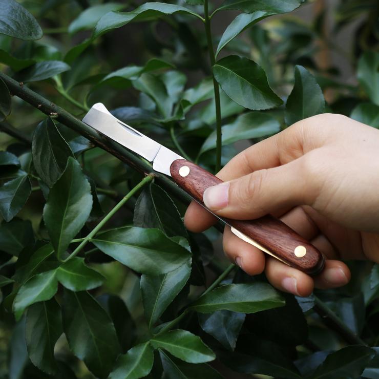 нож для окулировки плодовых