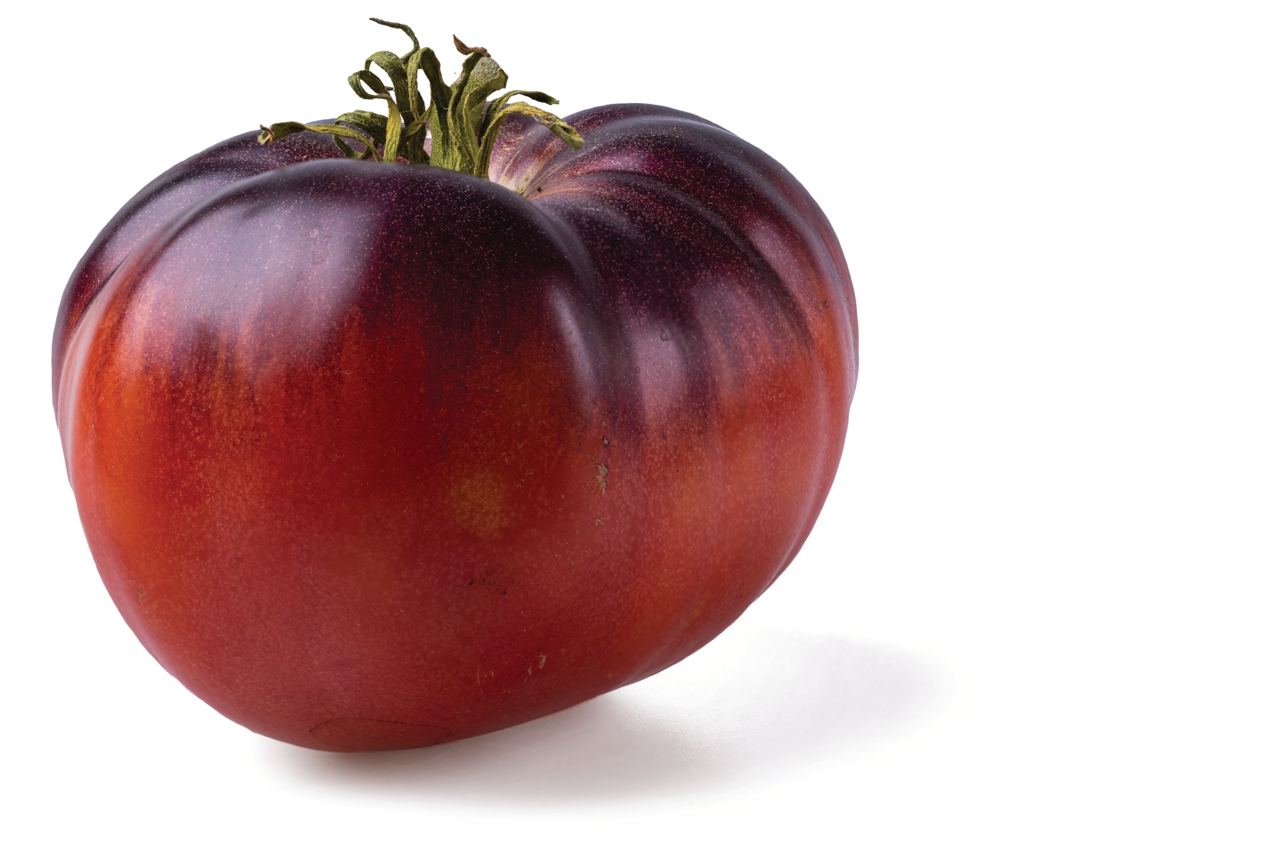 Сорт томатов Сержант Пеппер (фото): характеристика и описание сорта,урожайность, посадка и уход за помидорами