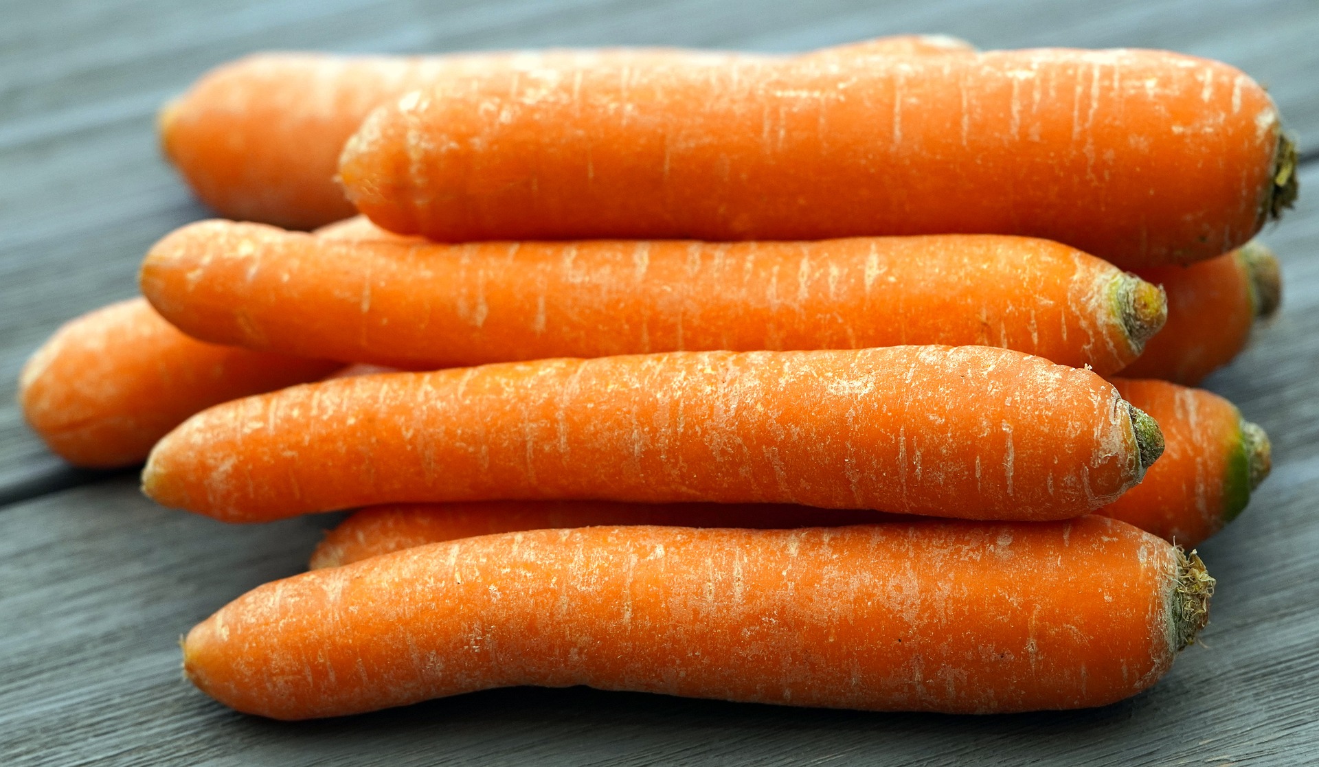 Отзывы о моркови Нантской 4