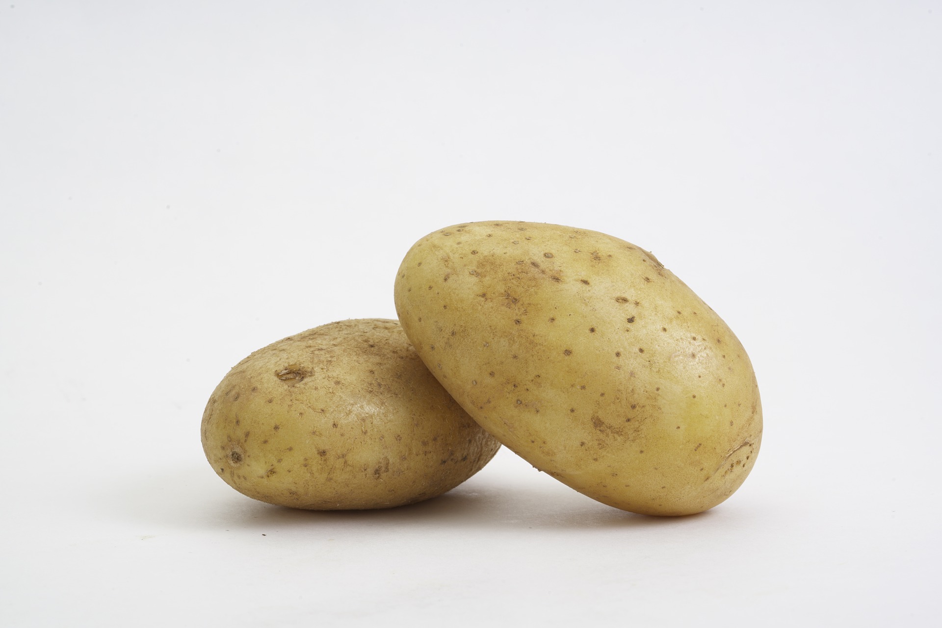Картофель Крепыш – описание сорта, характеристики, урожайность и срокисозревания
